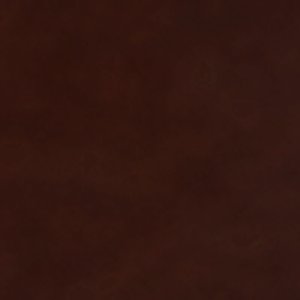 Tucker - Image 9