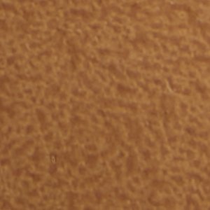 Nailah - Image 7