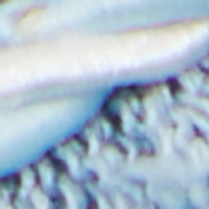 Nalani - Image 8