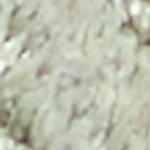 Oceania - Image 8