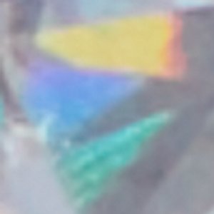 Daniellia - Image 2