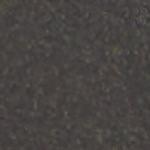Preliand - Image 9