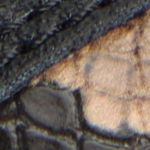Zethan - Image 8