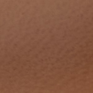 Gannever - Image 8