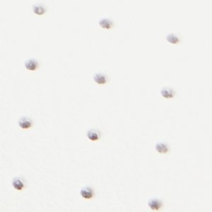Jaylla - Image 8