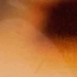 Selamas - Image 4