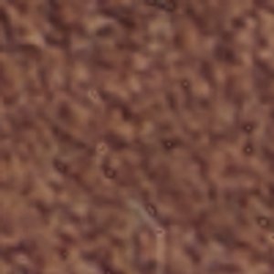 Clubmtl - Image 9