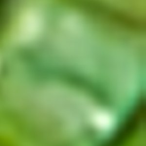 Ciitrinna - Image 3