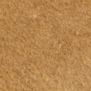 Arturo - Image 9