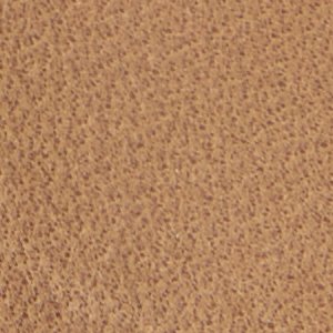 Cedric - Image 9