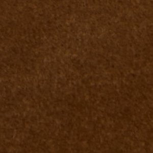 Zucca - Image 10