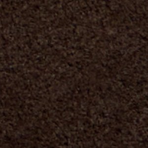 Zucca - Image 10