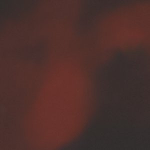 Darlina - Image 7