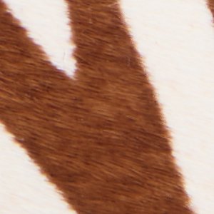 Caylyn - Image 8