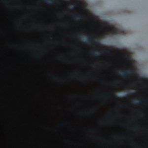 Bellamyy - Image 8