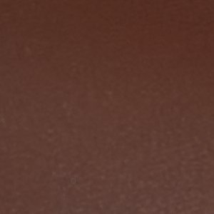 Anayelie - Image 8