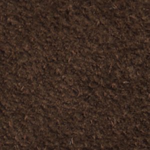Zeddy - Image 9