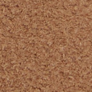 Zeddy - Image 9