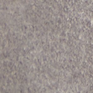 Gordo - Image 9