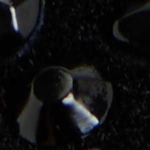 Lux - Image 9