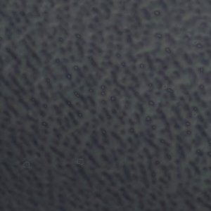 Iliria - Image 8