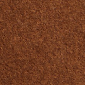 Melvillee - Image 9