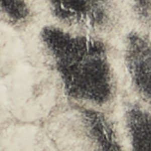 Carrobreria - Image 7