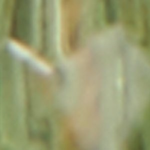 Eyeconic - Image 3
