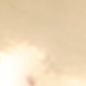 Roarya - Image 3