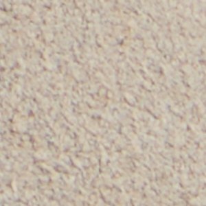 Grit - Image 8