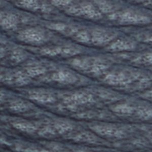Pedro - Image 8