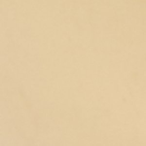 Olliviia - Image 2