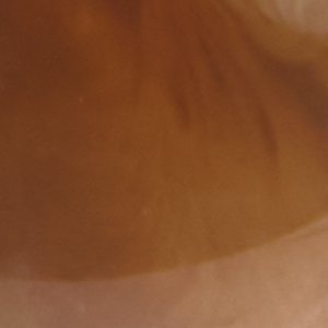 Mystarya - Image 3