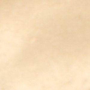 Aryannah - Image 3