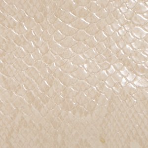 Alesia - Image 5