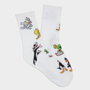 Ltsocks