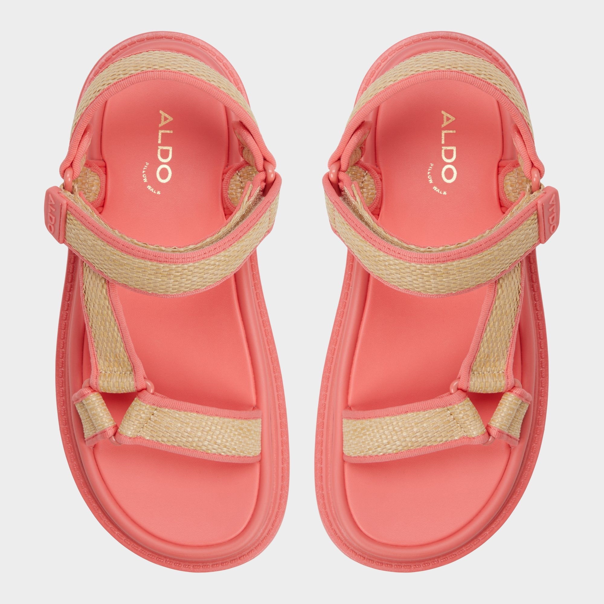 Oceana - Image 6