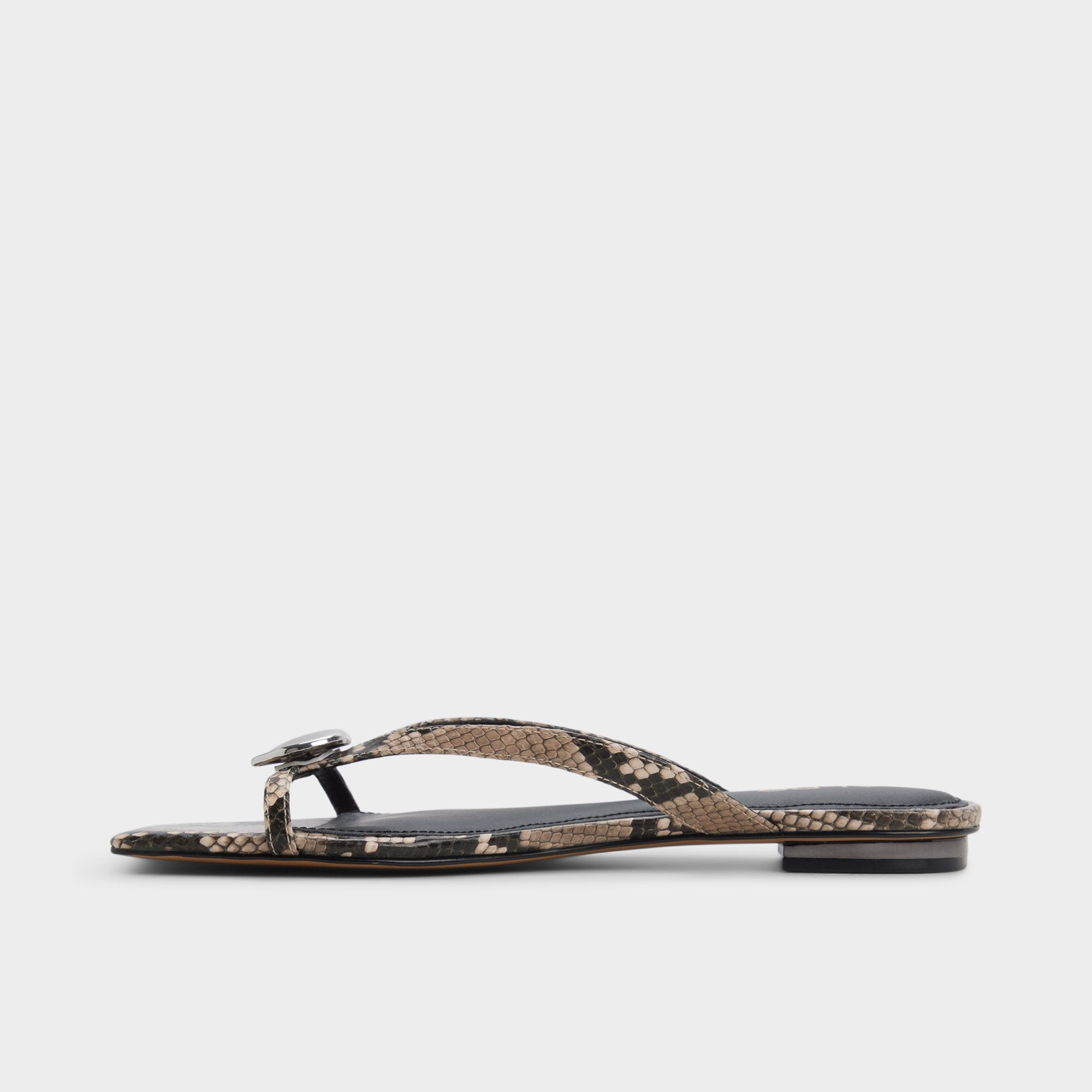 Iliria - Image 3