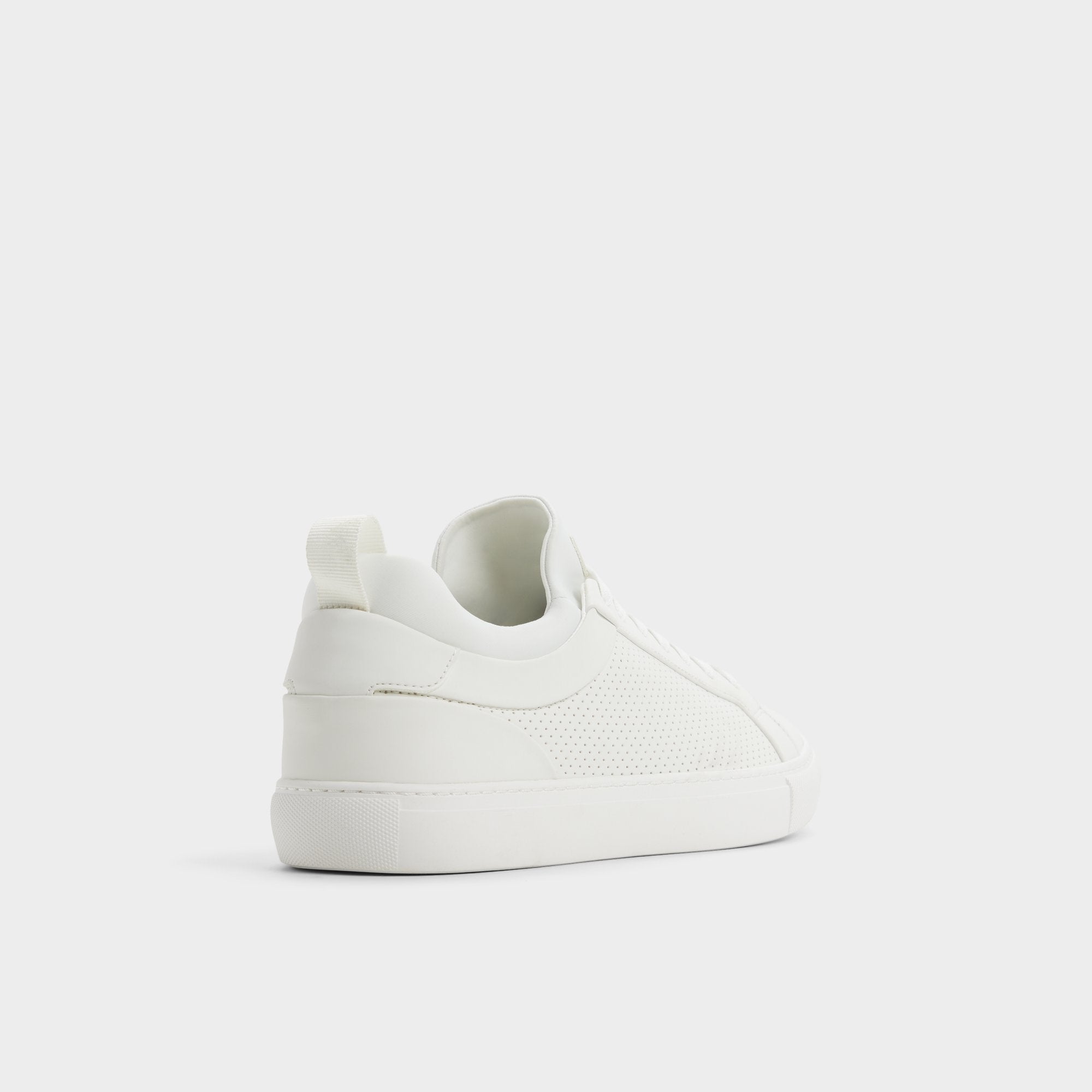 Xavier - Image 2
